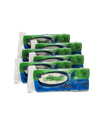 50 Rollen Toilettenpapier Klopapier WC-Papier weiß Zellstoff 180 Blatt